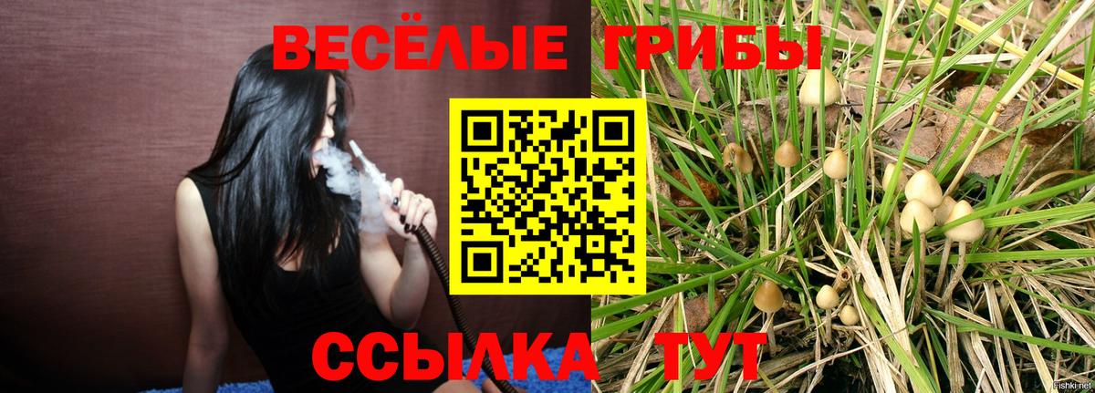 Псилоцибиновые грибы мухоморы  где купить наркотик  Санкт-Петербург  Вход с VPN 